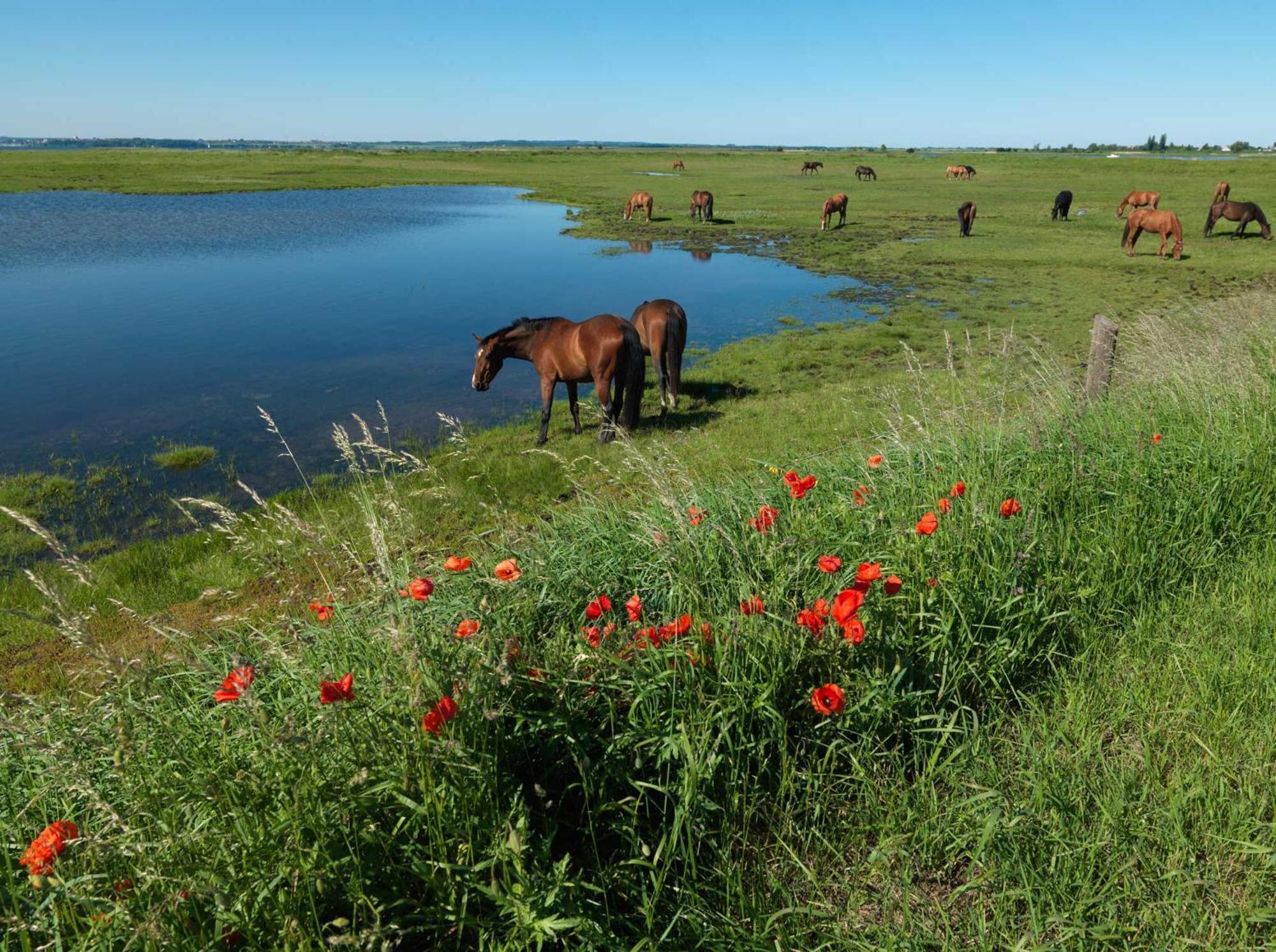 Ferienanlage Poschmann Strohboden Wyspa Poel Zewnętrze zdjęcie